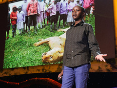 Richard Turere: My invention that made peace with lions