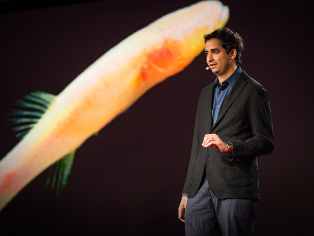 Clues to prehistoric times, found in blind cavefish | Prosanta Chakrabarty Clues to prehistoric times, found in blind cavefish | Prosanta Chakrabarty