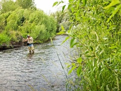 Rob Harmon: How to keep rivers and streams flowing