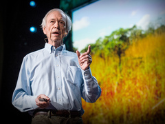 Allan Savory: How to fight desertification and reverse climate change