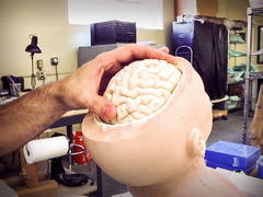 Peter Weinstock: Lifelike simulations that make real-life surgery safer